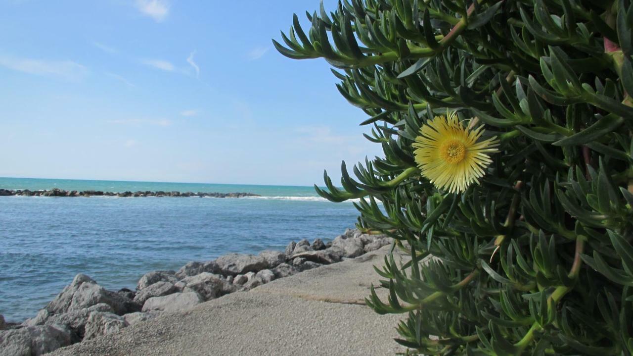 Sapori Di Mare Apartment Trappeto  Exterior photo